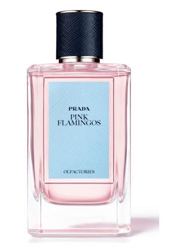 prada flamingo heren overhemd|Prada voor heren .